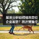 基准分析如何精准定位企业差距?改进策略全解析(图3) 基准分析如何精准定位企业差距?改进策略全解析(图3)