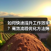 如何快速提升工作效率？高效流程优化方法揭