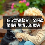 数字营销整合：全渠道策略引爆增长的秘诀(图1)
