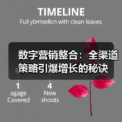 数字营销整合：全渠道策略引爆增长的秘诀(图4)