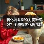 转化漏斗SEO为何难见效？全流程优化揭示隐藏真相(图4)