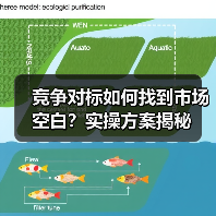 竞争对标如何找到市场空白?实操方案揭秘(图1) 竞争对标如何找到市场空白?实操方案揭秘(图1)