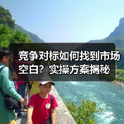 竞争对标如何找到市场空白?实操方案揭秘(图2) 竞争对标如何找到市场空白?实操方案揭秘(图2)