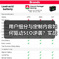 用户细分与定制内容如何驱动SEO逆袭？实战案例深度解析(图1)