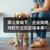 算法变局下，企业如何用趋势适应赢得未来？(图3)
