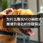 为什么整合SEO策略才是提升排名的终极解法?(图1) 为什么整合SEO策略才是提升排名的终极解法?(图1)