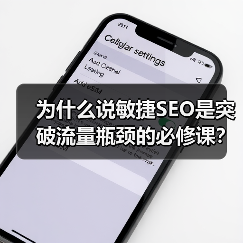 为什么说敏捷SEO是突破流量瓶颈的必修课?(图1) 为什么说敏捷SEO是突破流量瓶颈的必修课?(图1)