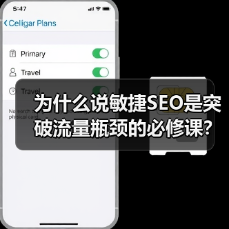为什么说敏捷SEO是突破流量瓶颈的必修课?(图3) 为什么说敏捷SEO是突破流量瓶颈的必修课?(图3)