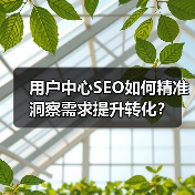 用户中心SEO如何精准洞察需求提升转化？(图2)