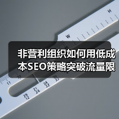 非营利组织如何用低成本SEO策略突破流量限制？(图1)