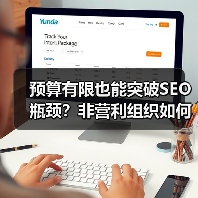 预算有限也能突破SEO瓶颈？非营利组织如何最大化影响力(图2)
