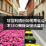 非营利组织如何用低成本SEO策略突破流量限制？(图3)
