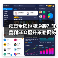 预算受限也能逆袭？非营利SEO提升策略揭秘(图1)