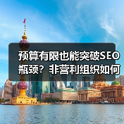 预算有限也能突破SEO瓶颈？非营利组织如何最大化影响力(图4)