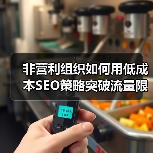 非营利组织如何用低成本SEO策略突破流量限制？(图4)