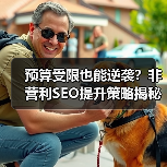 预算受限也能逆袭？非营利SEO提升策略揭秘(图3)