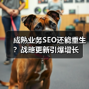 成熟业务SEO还能重生？战略更新引爆增长(图3)