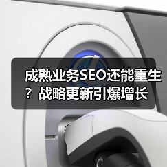 成熟业务SEO还能重生？战略更新引爆增长(图4)