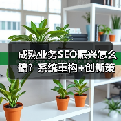 成熟业务SEO振兴怎么搞?系统重构+创新策略解锁超速增长(图4) 成熟业务SEO振兴怎么搞?系统重构+创新策略解锁超速增长(图4)