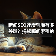 新闻SEO速度到底有多关键？揭秘瞬间索引的排名玄机(图3)