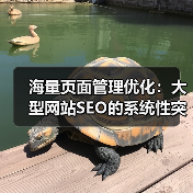 海量页面管理优化：大型网站SEO的系统性突围策略(图1)