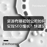 资源有限初创公司如何实现SEO增长？快速见效的低成本策略(图4)