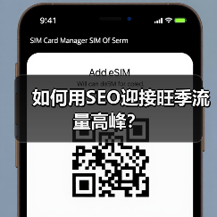 如何用SEO迎接旺季流量高峰？(图1)