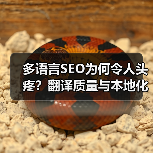 多语言SEO为何令人头疼？翻译质量与本地化策略破解全球市场拓展难题(图1)