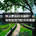 算法更新排名骤降?这些恢复技巧助你逆袭重返巅峰(图2) 算法更新排名骤降?这些恢复技巧助你逆袭重返巅峰(图2)