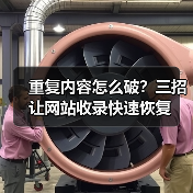 重复内容怎么破?三招让网站收录快速恢复(图1) 重复内容怎么破?三招让网站收录快速恢复(图1)