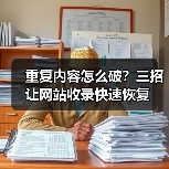 重复内容怎么破?三招让网站收录快速恢复(图2) 重复内容怎么破?三招让网站收录快速恢复(图2)