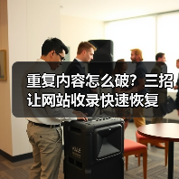 重复内容怎么破?三招让网站收录快速恢复(图4) 重复内容怎么破?三招让网站收录快速恢复(图4)