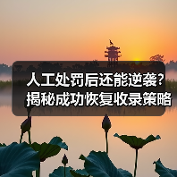 人工处罚后还能逆袭?揭秘成功恢复收录策略(图4) 人工处罚后还能逆袭?揭秘成功恢复收录策略(图4)