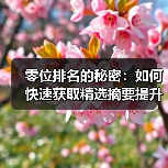 零位排名的秘密:如何快速获取精选摘要提升点击率(图3) 零位排名的秘密:如何快速获取精选摘要提升点击率(图3)