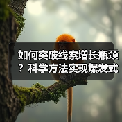 如何突破线索增长瓶颈?科学方法实现爆发式增长(图2) 如何突破线索增长瓶颈?科学方法实现爆发式增长(图2)