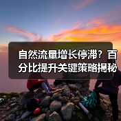 自然流量增长停滞？百分比提升关键策略揭秘(图1)