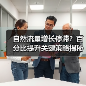 自然流量增长停滞？百分比提升关键策略揭秘(图2)