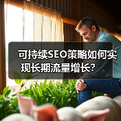 可持续SEO策略如何实现长期流量增长？(图1)