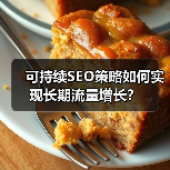 可持续SEO策略如何实现长期流量增长？(图3)