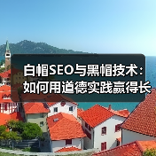 白帽SEO与黑帽技术:如何用道德实践赢得长期价值与用户信任?(图3) 白帽SEO与黑帽技术:如何用道德实践赢得长期价值与用户信任?(图3)