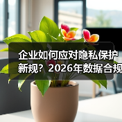 企业如何应对隐私保护新规？2026年数据合规关键趋势全解析(图4)