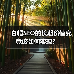白帽SEO的长期价值究竟该如何实现?(图3) 白帽SEO的长期价值究竟该如何实现?(图3)
