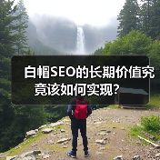 白帽SEO的长期价值究竟该如何实现?(图4) 白帽SEO的长期价值究竟该如何实现?(图4)