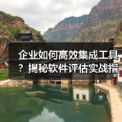 企业如何高效集成工具？揭秘软件评估实战指南(图4)