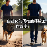 自动化如何彻底释放工作效率？(图2)