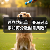 独立站运营：亚马逊卖家如何分散封号风险？(图2)