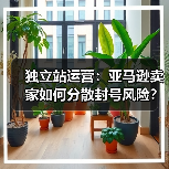 独立站运营：亚马逊卖家如何分散封号风险？(图1)