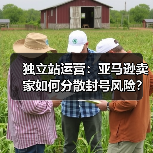 独立站运营：亚马逊卖家如何分散封号风险？(图4)