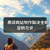 高端网站制作解决全网营销需求(图2)