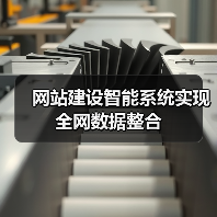 网站建设智能系统实现全网数据整合(图4)